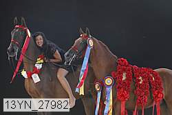 13yn_27982 proof