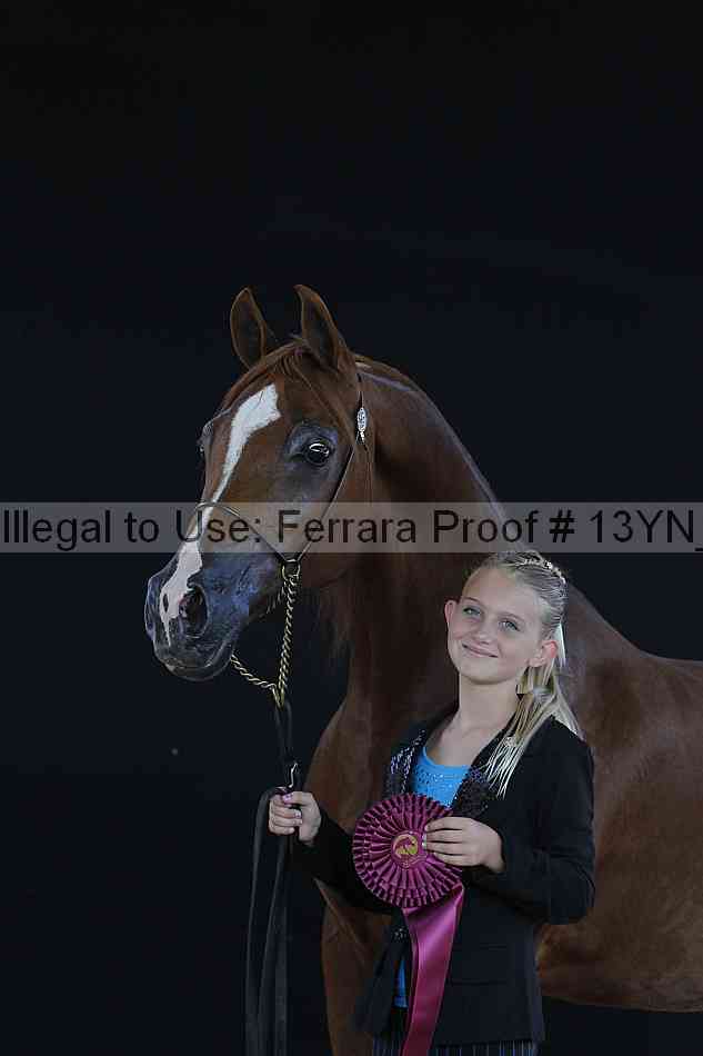 Proof 13yn_24657