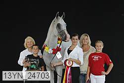 13yn_24703 proof