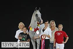 13yn_24704 proof