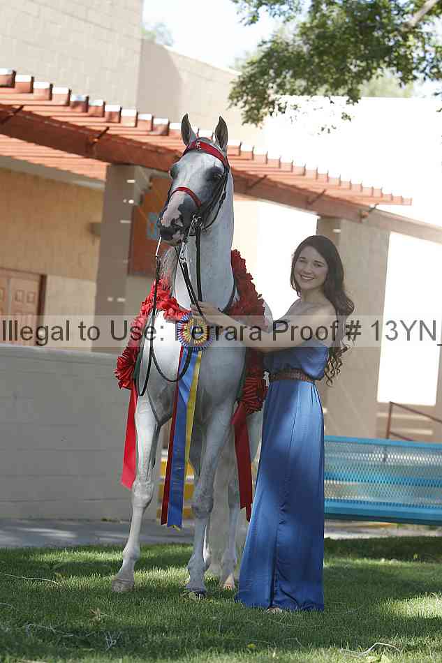 Proof 13yn_24762