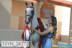13yn_24772 proof
