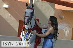 13yn_24776 proof