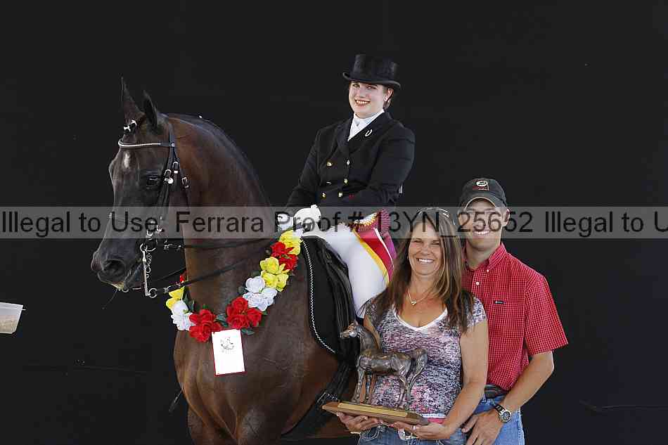 Proof 13yn_25652