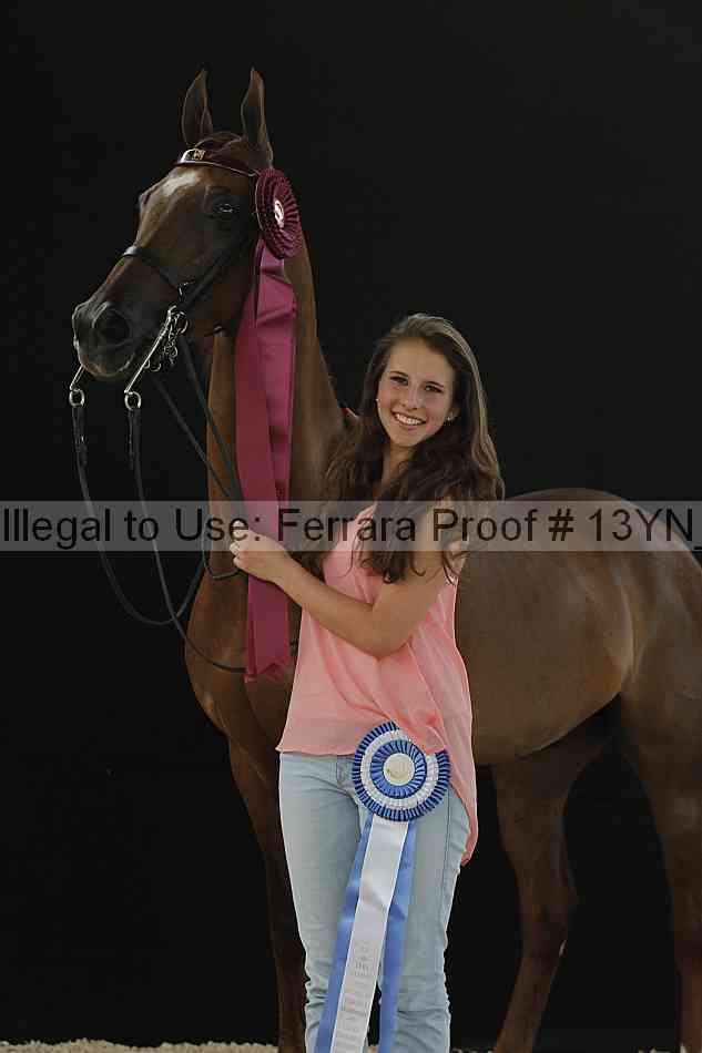 Proof 13yn_28305