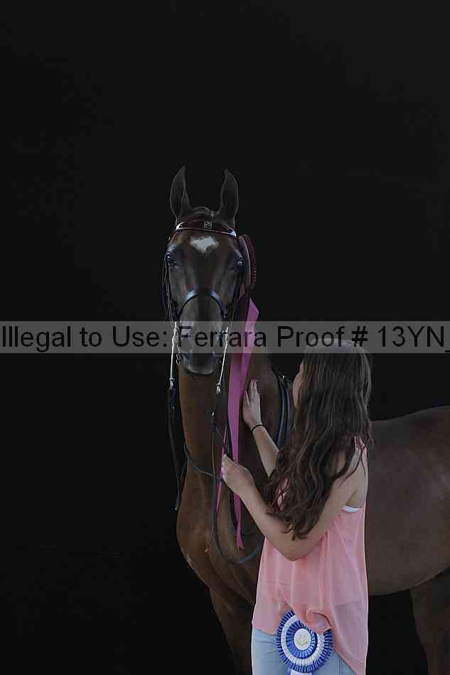 Proof 13yn_28311