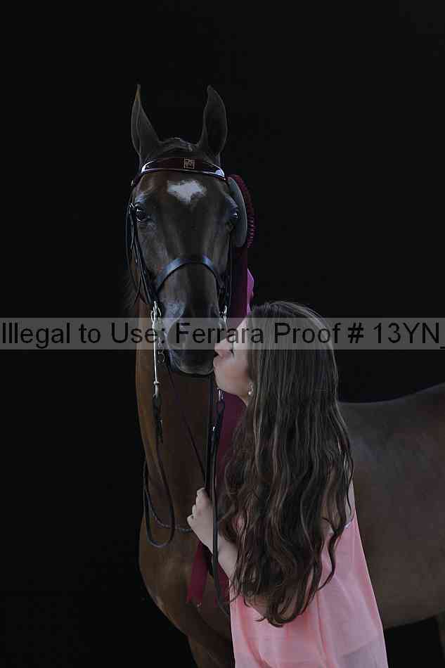 Proof 13yn_28312