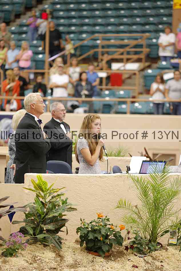 Proof 13yn_28074