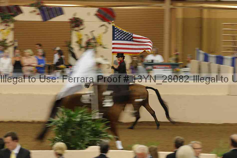 Proof 13yn_28082