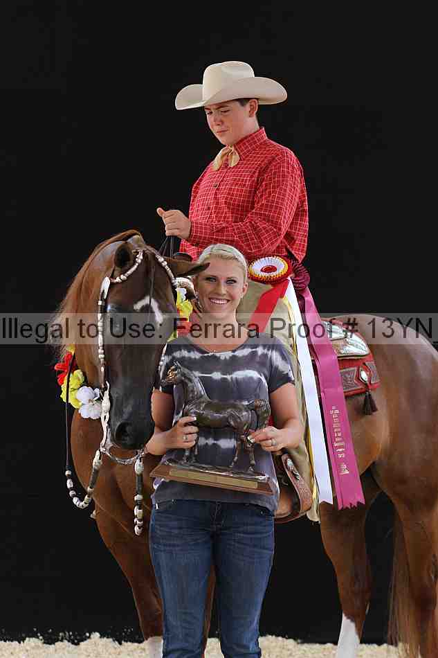Proof 13yn_03065