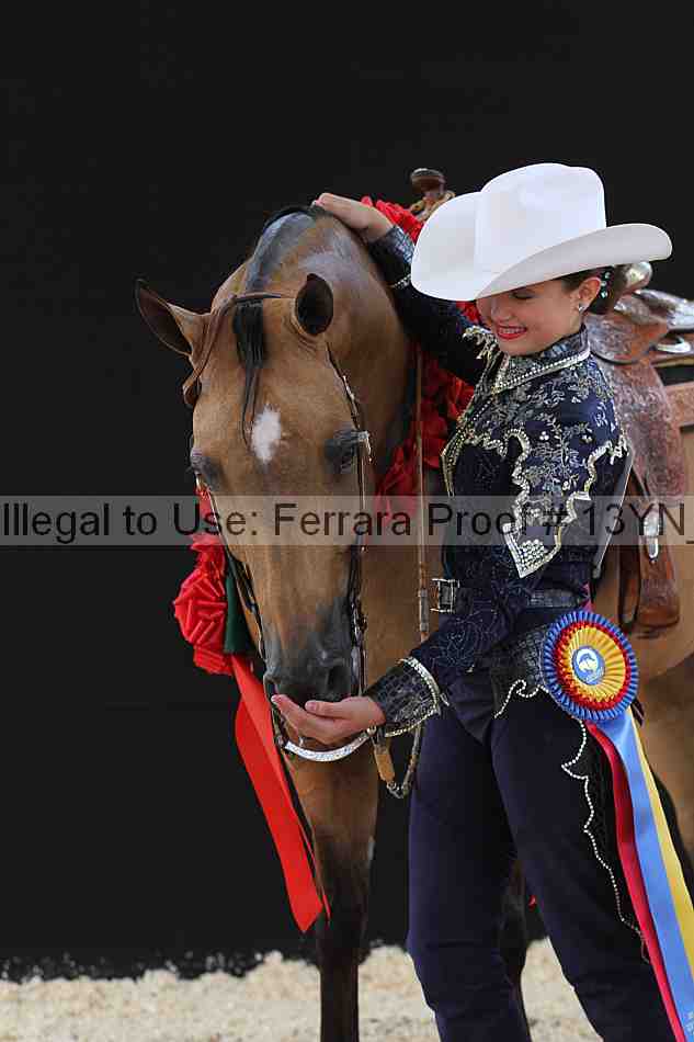 Proof 13yn_03069
