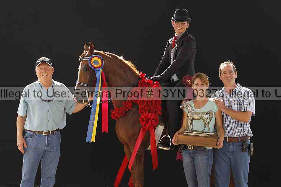 Proof 13yn_03273