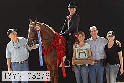 13yn_03276 proof