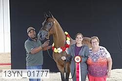 13yn_01777 proof