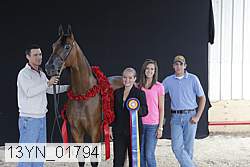 13yn_01794 proof