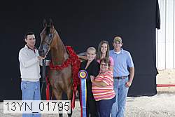 13yn_01795 proof