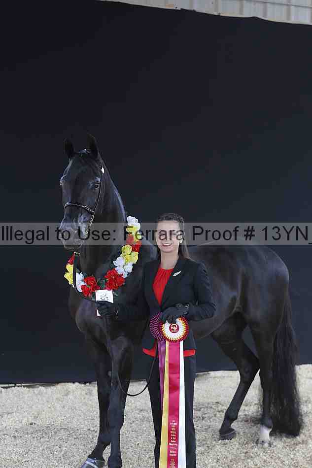 Proof 13yn_02477