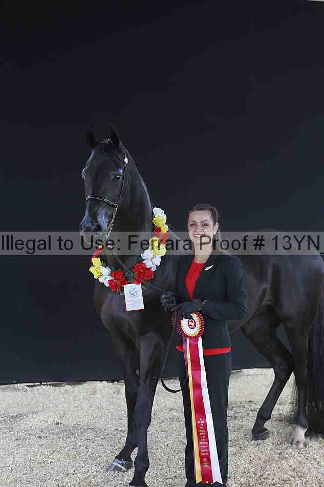 Proof 13yn_02479