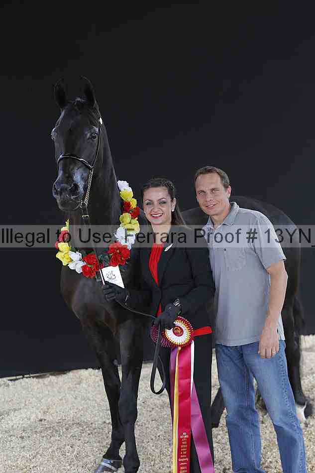 Proof 13yn_02484