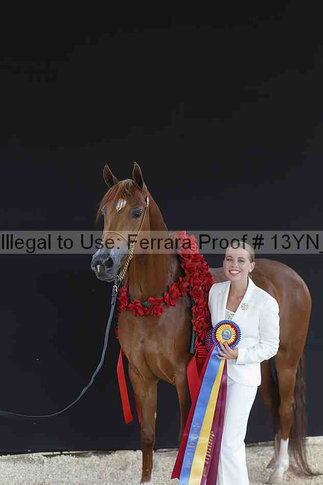 Proof 13yn_02486