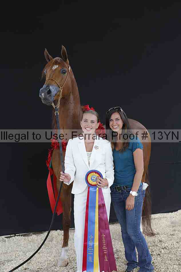Proof 13yn_02491