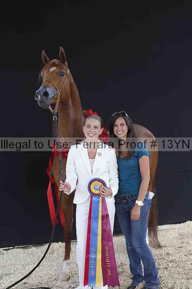 Proof 13yn_02492