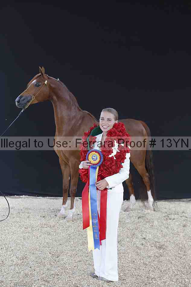 Proof 13yn_02503