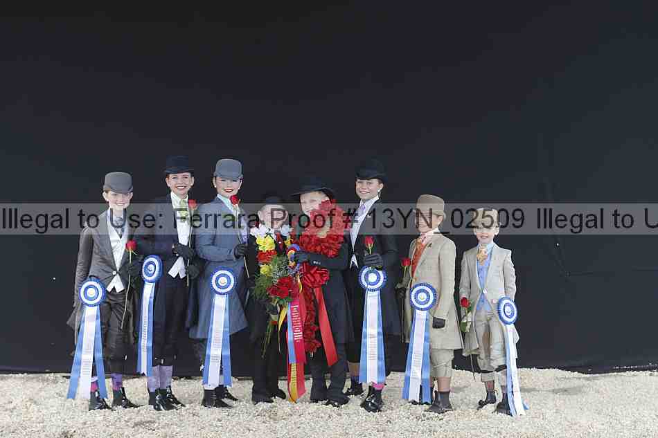 Proof 13yn_02509