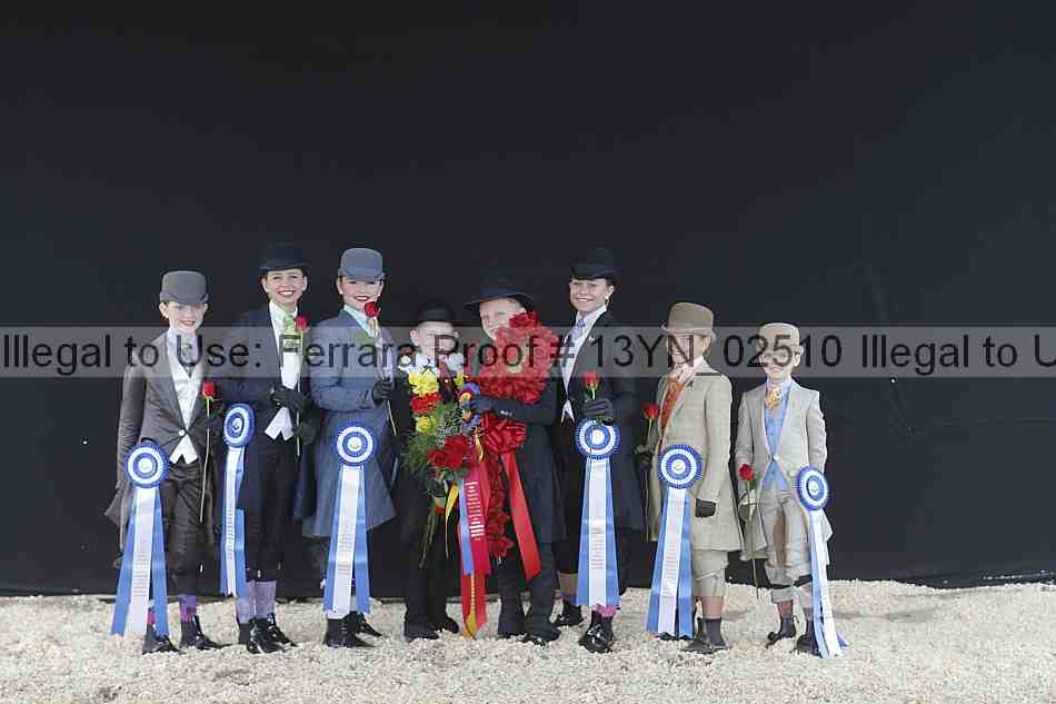 Proof 13yn_02510