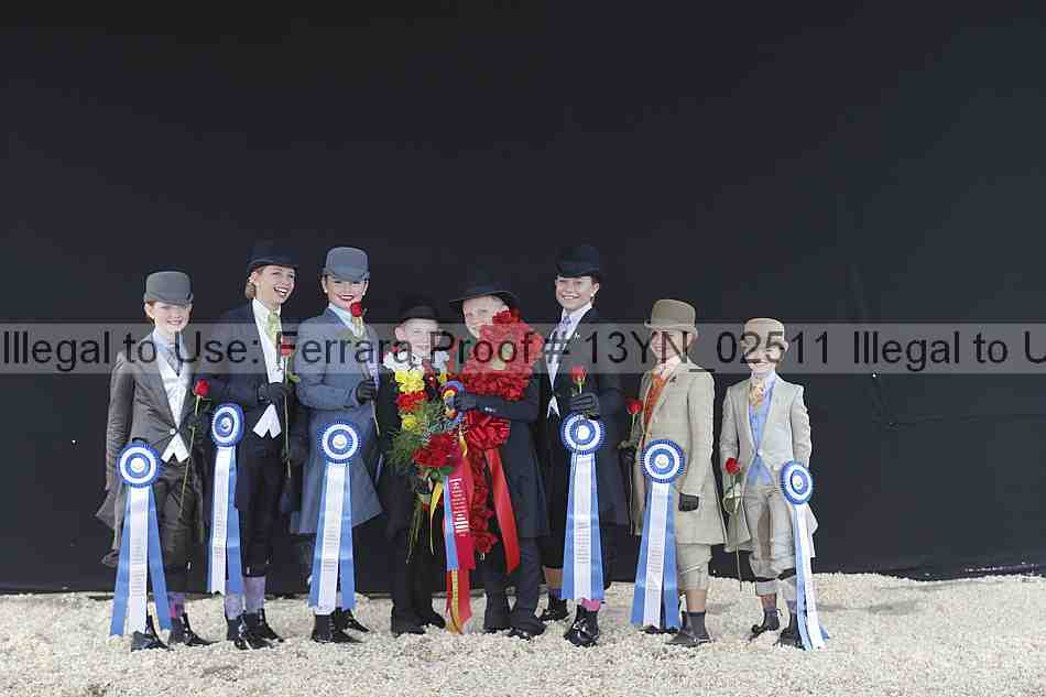 Proof 13yn_02511