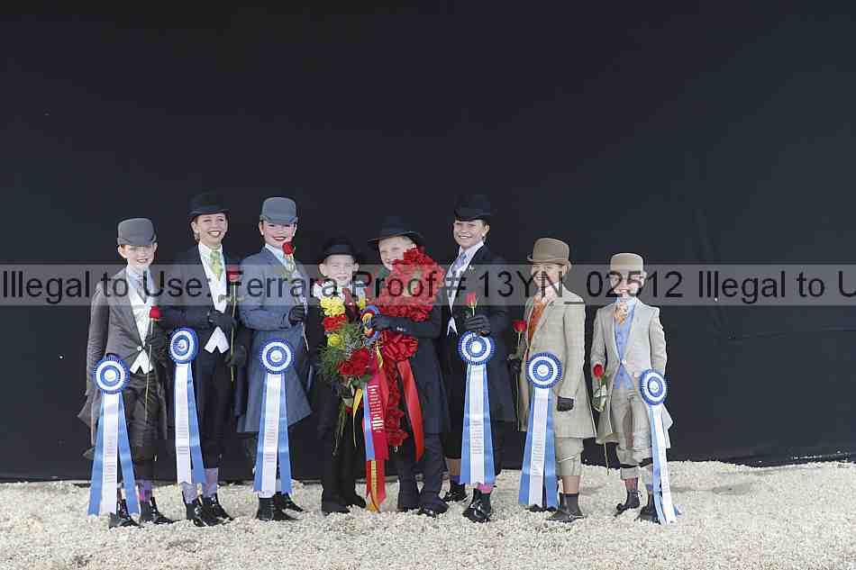 Proof 13yn_02512