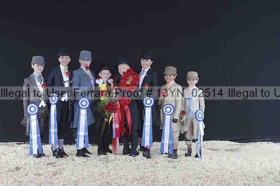 Proof 13yn_02514