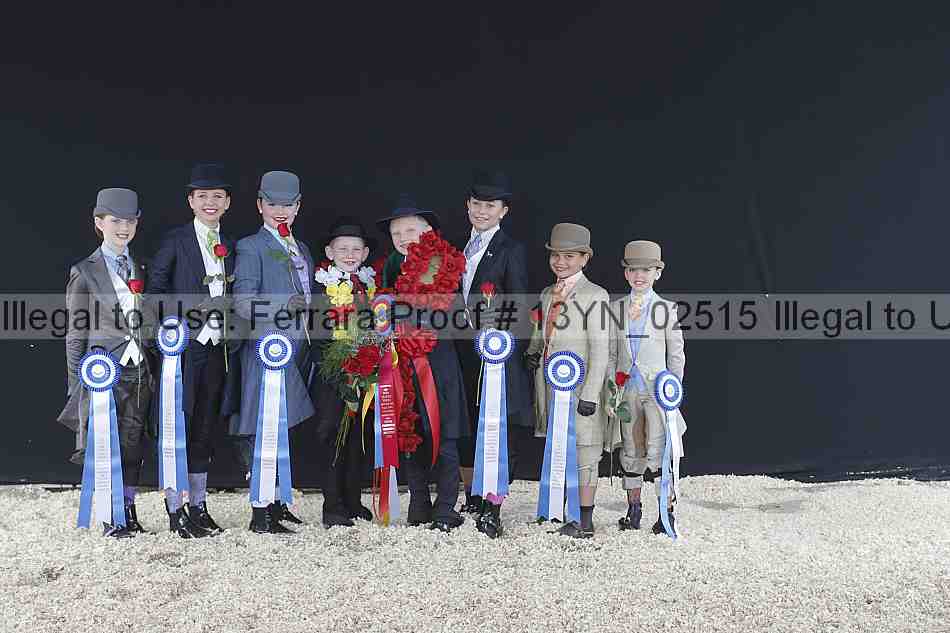 Proof 13yn_02515