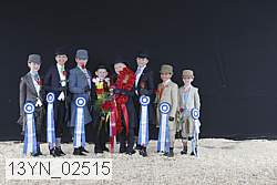 13yn_02515 proof