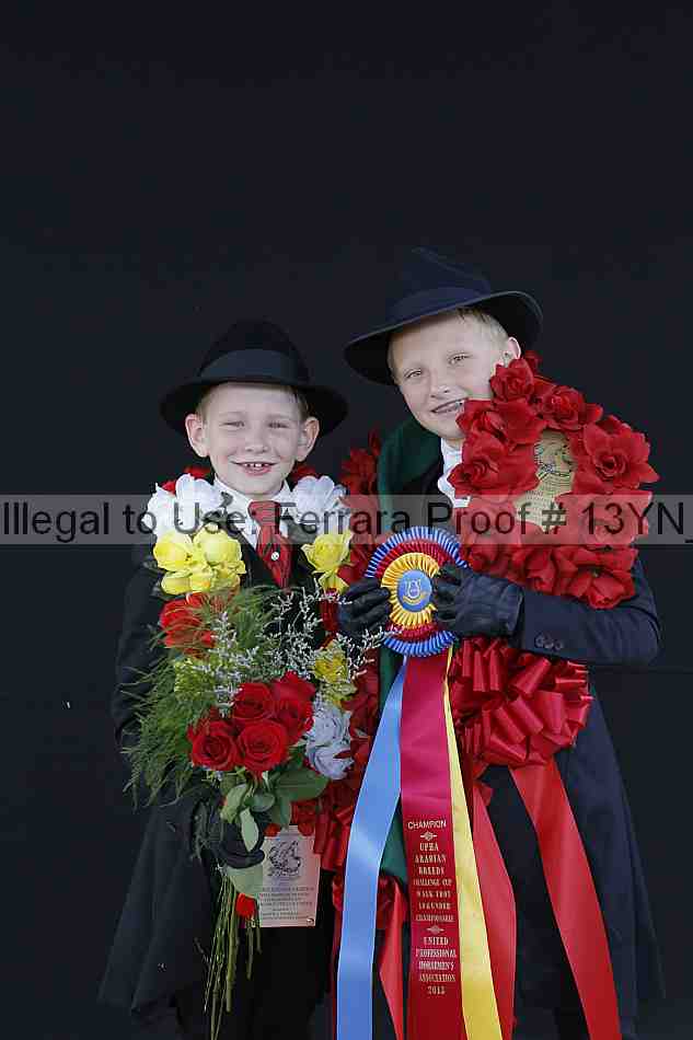 Proof 13yn_02517