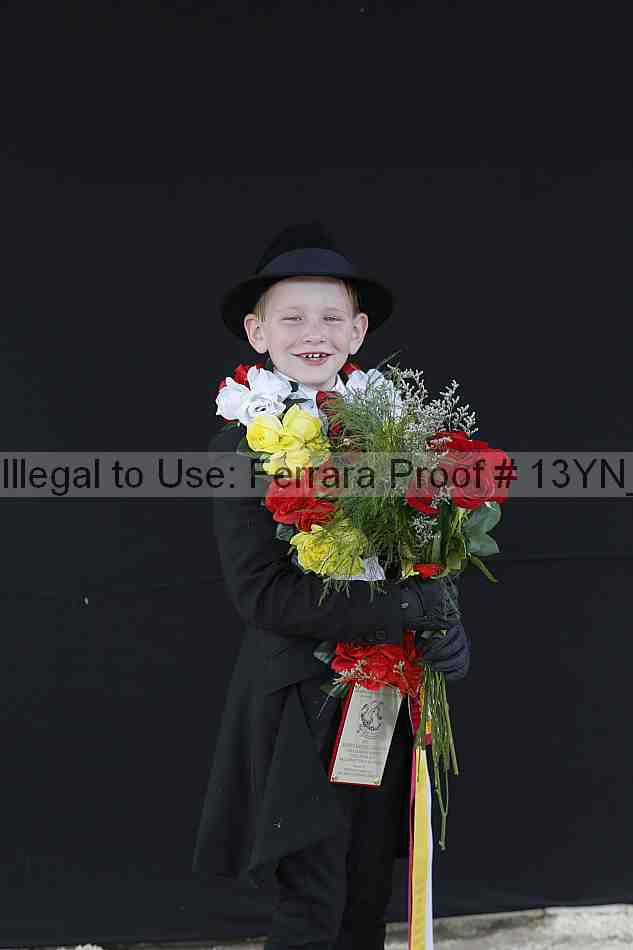 Proof 13yn_02520
