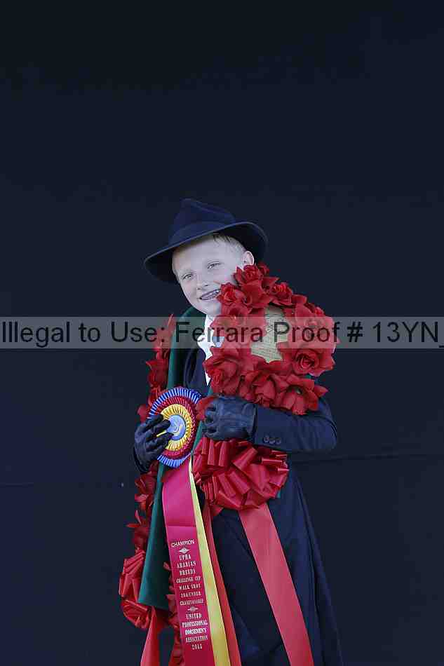 Proof 13yn_02532