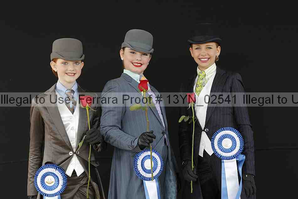 Proof 13yn_02541