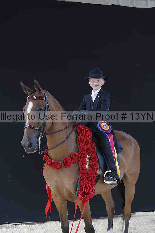 Proof 13yn_02543