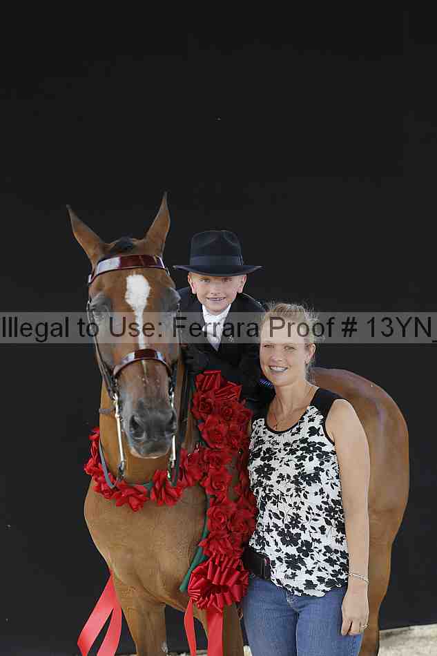 Proof 13yn_02551