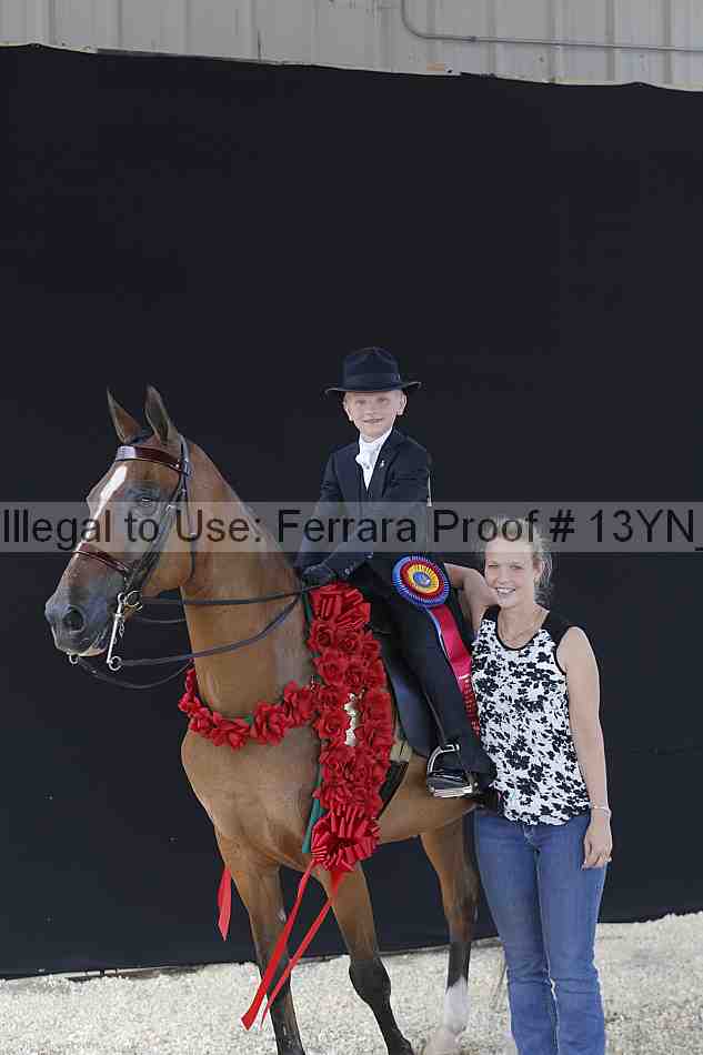 Proof 13yn_02552