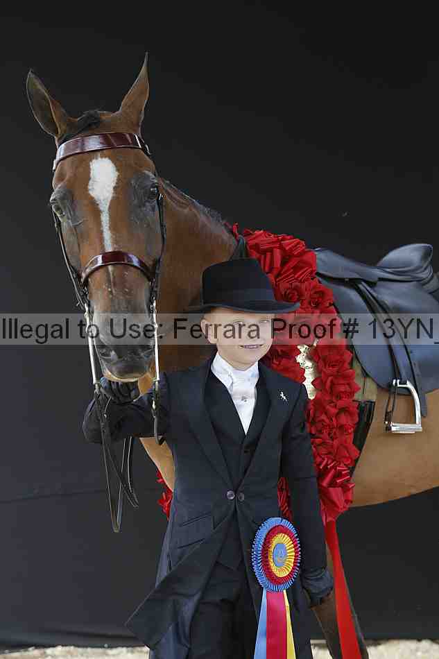 Proof 13yn_02554