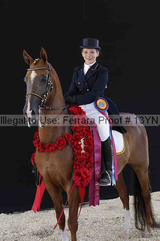 Proof 13yn_02561