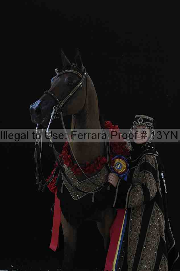 Proof 13yn_05351