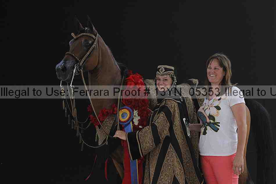 Proof 13yn_05353