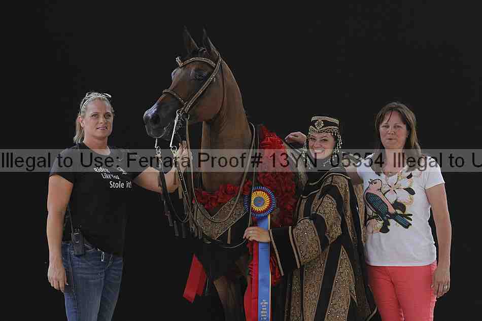Proof 13yn_05354