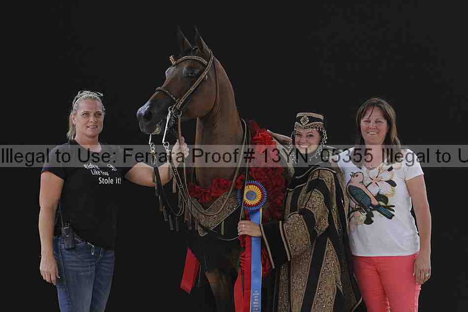 Proof 13yn_05355