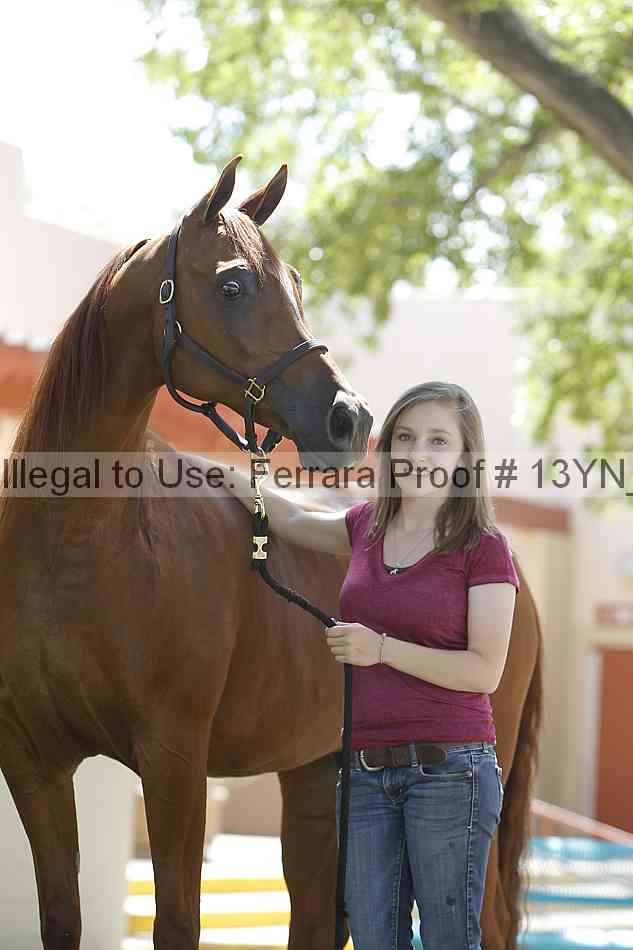 Proof 13yn_18318
