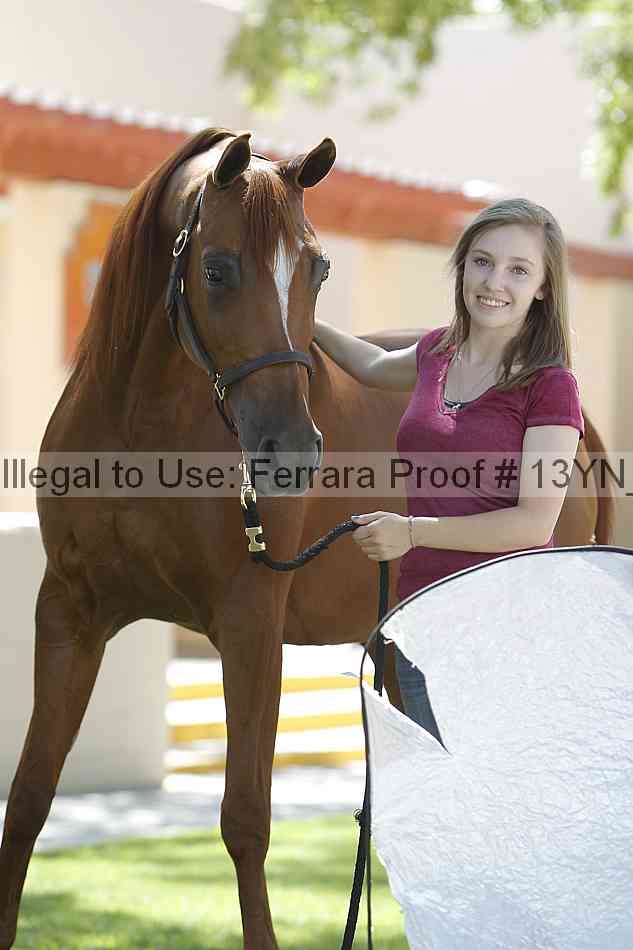Proof 13yn_18319