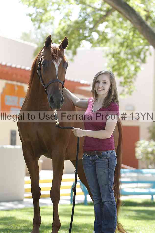 Proof 13yn_18320